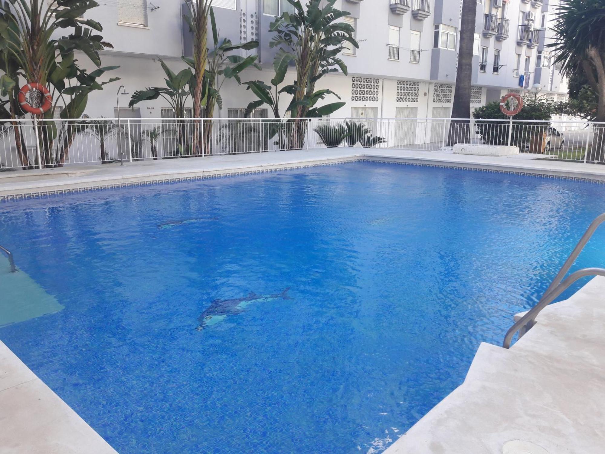 Apartment La Siesta *